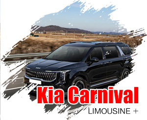 Kia Carnival Limousine +